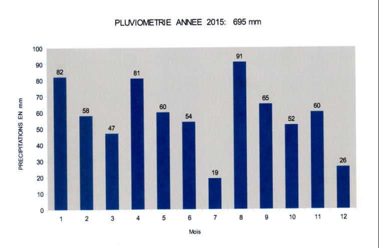 année 2015