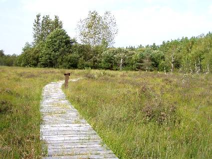 suite du parcours